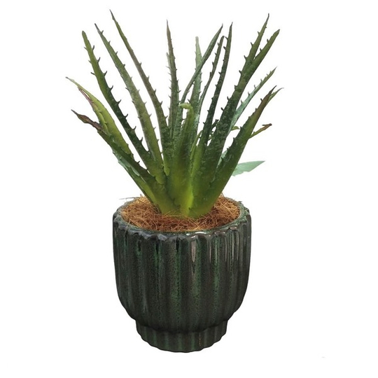Artificial Aloe Plant in Ribbed Green Ceramic Pot