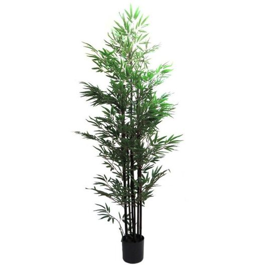 High Quality Artificial Black Bamboo Tree in Pot