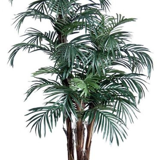 ARTIFICIAL KENYA STYLE PALM TREE - 2 SIZES AVAILABLE