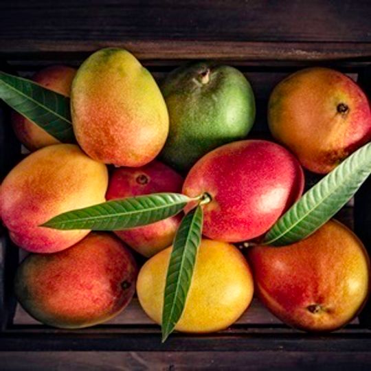 Mangoes (1 Box)