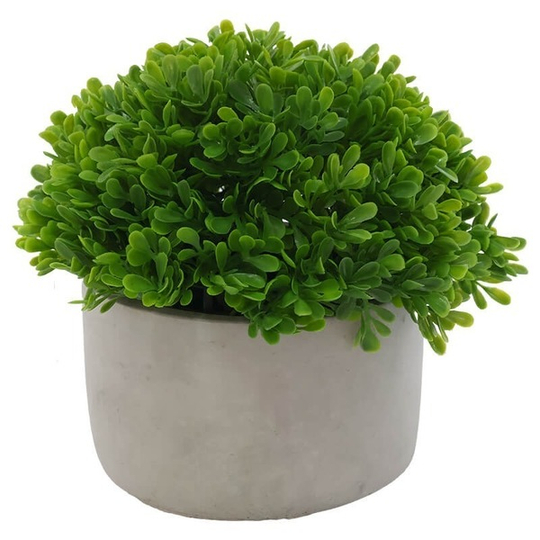 Artificial Topiary Plant in Cement pot