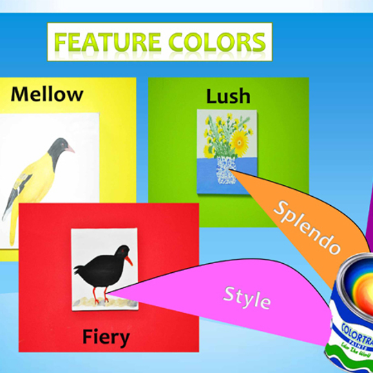 FEATURE COLORS - Washable sheen