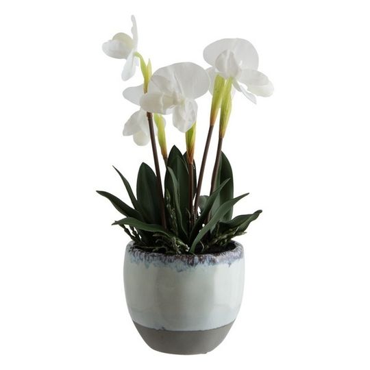 Real Touch Artificial Paphiopedilum Orchid in Ceramic Pot