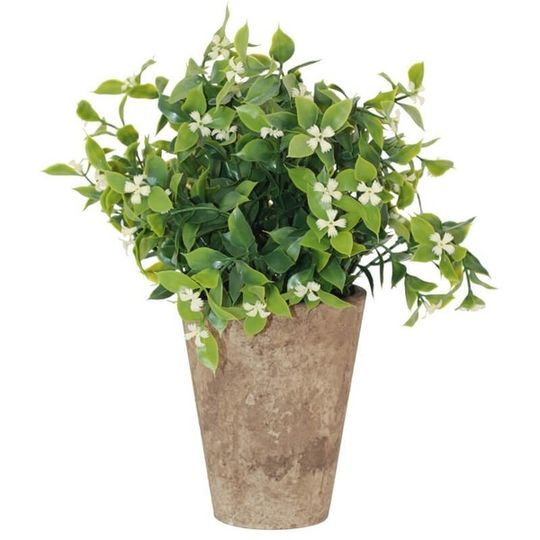 Artificial Jasmine Plant in Cement Pot