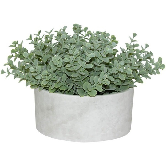 Artificial Succulent Plant in Cement Pot