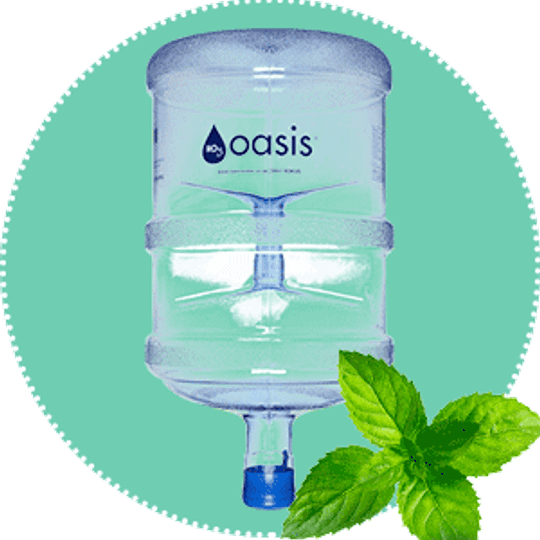 18.9 Litre Dispenser Bottle with handle (Filled)