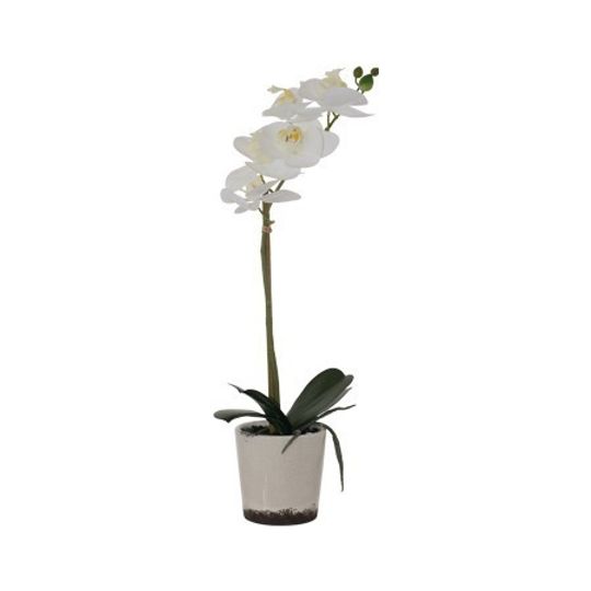 Real Touch Artificial White Orchid in Cream Pot