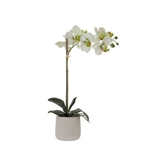 Real Touch Artificial Green Orchid in Ribbed Pot