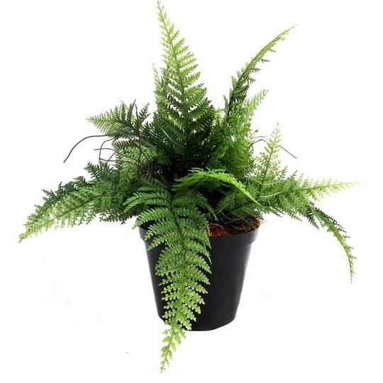 High Quality Artificial Fern Plant in Pot