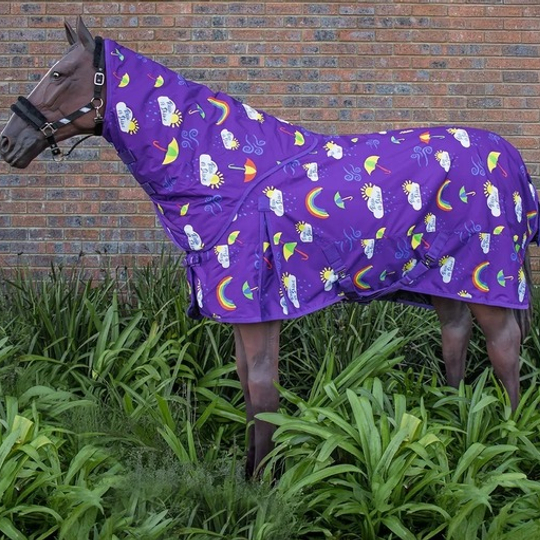 Rain Sheets: Rain Shine