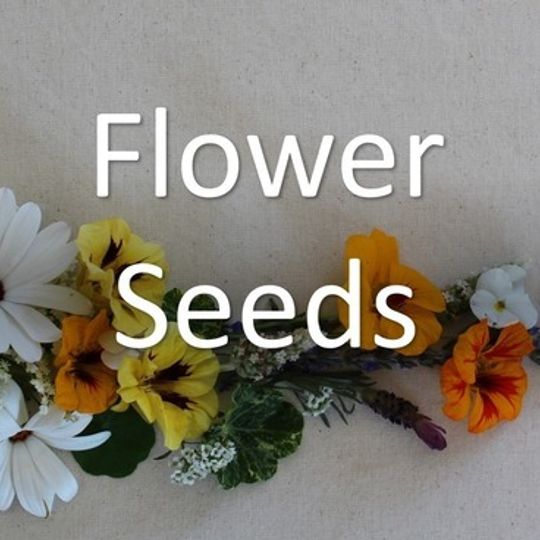 Flowers - Heirloom seeds