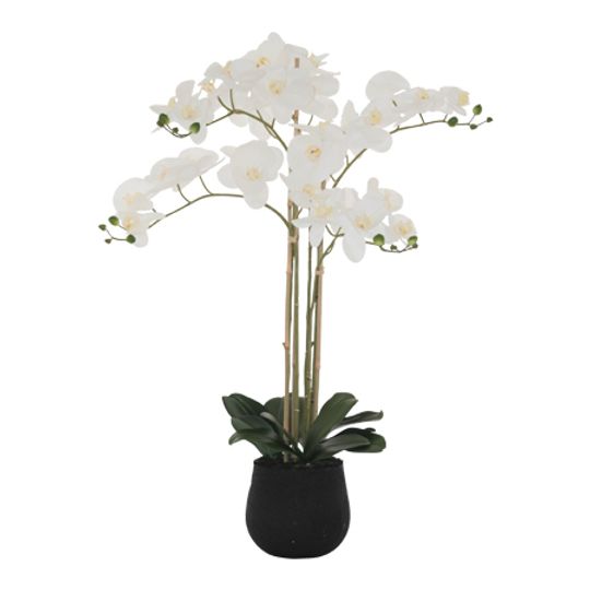 Large Real Touch Artificial White Orchid Arrangement