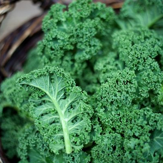 Organic Kale